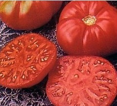tomate black plum 20 sementes 4660 e1496688849351
