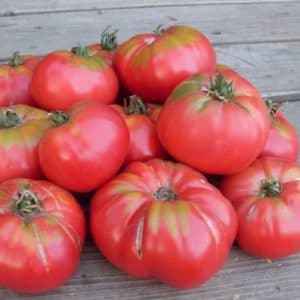 tomate black plum 20 sementes 8753 e1496688895449