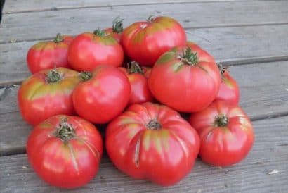 tomate black plum 20 sementes 8753 e1496688895449