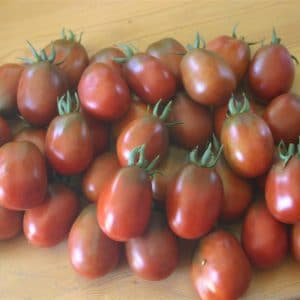 tomate black plum