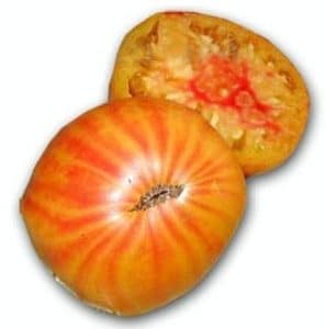 tomate flame 20 sementes 1001 e1496426419526