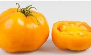 tomate golden sunray 20 sementes 1821 e1496421248289