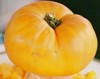 Tomate Golden Sunray: 20 Sementes