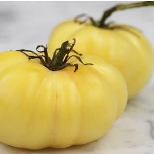 Tomate Great White Beefsteak: 20 Sementes
