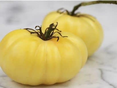 tomate great white beefsteak 20 sementes 1851 e1496420954578