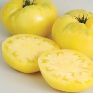 tomate great white beefsteak 20 sementes 1948 e1496420980569