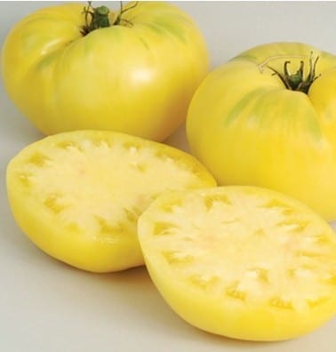 tomate great white beefsteak 20 sementes 1948 e1496420980569