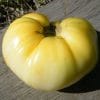 Tomate Great White Beefsteak: 20 Sementes