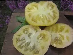 tomate great white beefsteak 20 sementes 4242 e1496421022116
