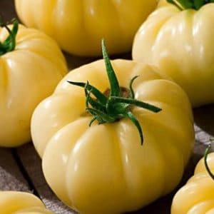 tomate great white beefsteak 20 sementes 9854 e1496420932546