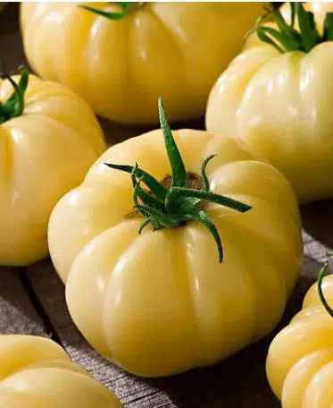 tomate great white beefsteak 20 sementes 9854 e1496420932546