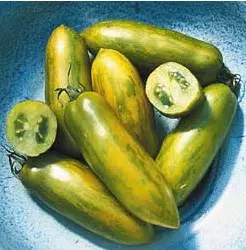 tomate green sausage 20 sementes 0405 e1496418923988