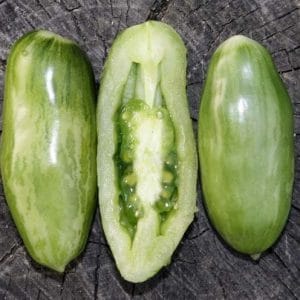 tomate green sausage 20 sementes 0416 e1496418565386