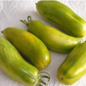 tomate green sausage 20 sementes 2699 e1496418969990