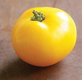 tomate lemon boy 20 sementes 3931 e1496418399129