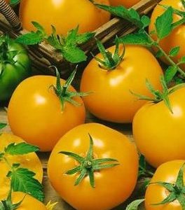 tomate lemon boy 20 sementes 7825 e1496418543979
