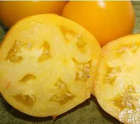tomate lemon boy 20 sementes 9352 e1496418239351
