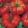 Tomate Ponderosa Red: 20 Sementes