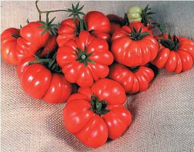 tomate ponderosa red 20 sementes 7881 e1496417983633