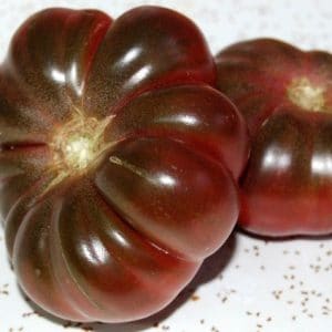 tomate purple calabash 20 sementes 0620 e1496417607297