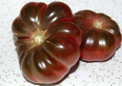 tomate purple calabash 20 sementes 0620 e1496417607297