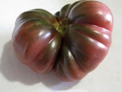 tomate purple calabash 20 sementes 0704 e1496417704337