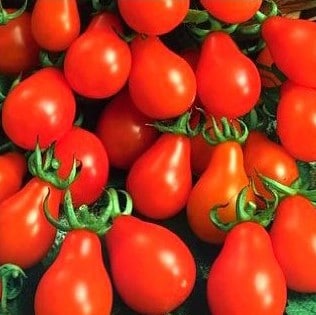tomate red pear 20 sementes 4041 e1496417487104