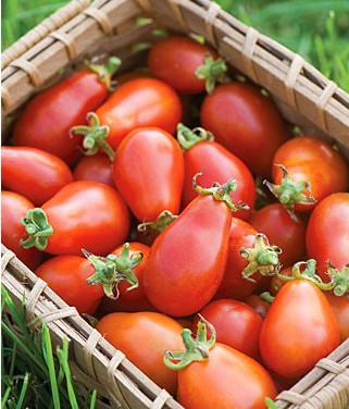 tomate red pear 20 sementes 4853 e1496417388905