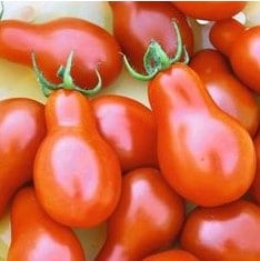 tomate red pear 20 sementes 6034 e1496417523479