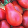 Tomate Red Pear: 20 Sementes