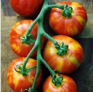 tomate tigerella 20 sementes 3276 e1496415247947