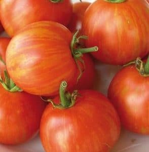 tomate tigerella 20 sementes 5083 e1496415201518