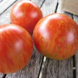 Tomate Tigerella: 20 Sementes