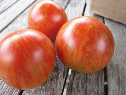 tomate tigerella 20 sementes 5493 e1496415101905