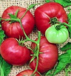 tomate triple l crop 20 sementes 6633 e1496413544630