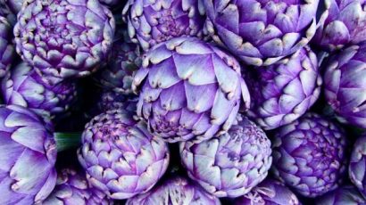 Alcachofra Violeta: 10 Sementes