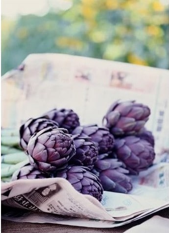 alcachofra violeta 10 sementes 2 4 e1496691821649