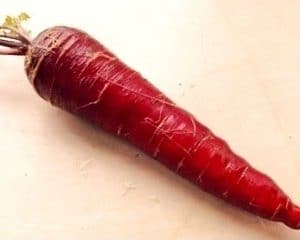 Cenoura Red: 20 Sementes