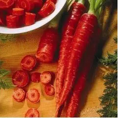 cenoura red 20 sementes 2 e1496691207245