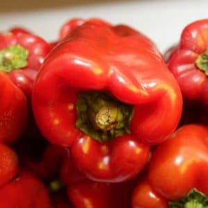 Pimentão Vermelho: 50 Sementes