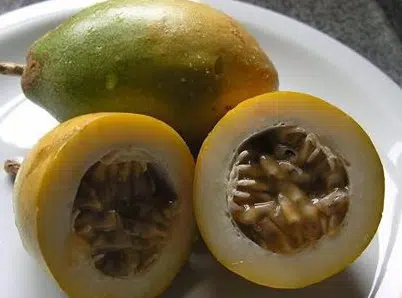 sementes de maracuja doce 2 3 e1496689957783