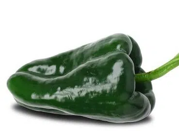 sementes de pimenta ancho poblano 2 11 e1496692643879
