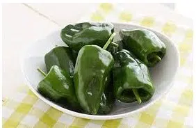 sementes de pimenta ancho poblano 2 2 e1496692797721