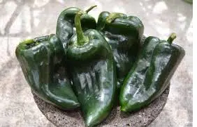 sementes de pimenta ancho poblano 2 3 e1496692772372