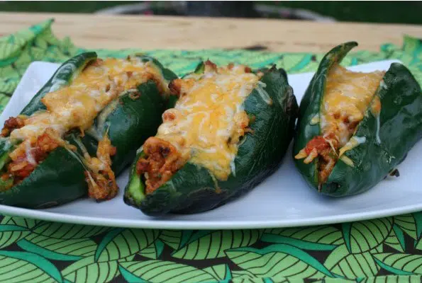 sementes de pimenta ancho poblano 2 4 e1496692748555