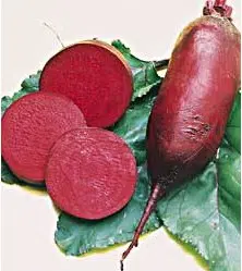 beterraba comprida 20 sementes 2 6 e1496340981491