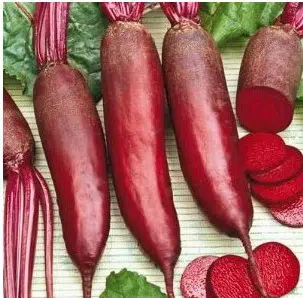 beterraba comprida 20 sementes 9769 e1496341132513