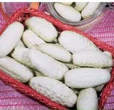 pepino branco 20 sementes 2 3 e1496340722158