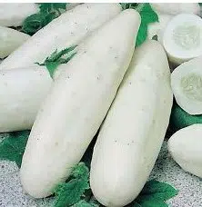 pepino branco 20 sementes 2 4 e1496340680533