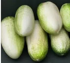 pepino branco 20 sementes 2 5 e1496340653466